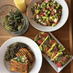 Gluten-free lunch spread from The Hive